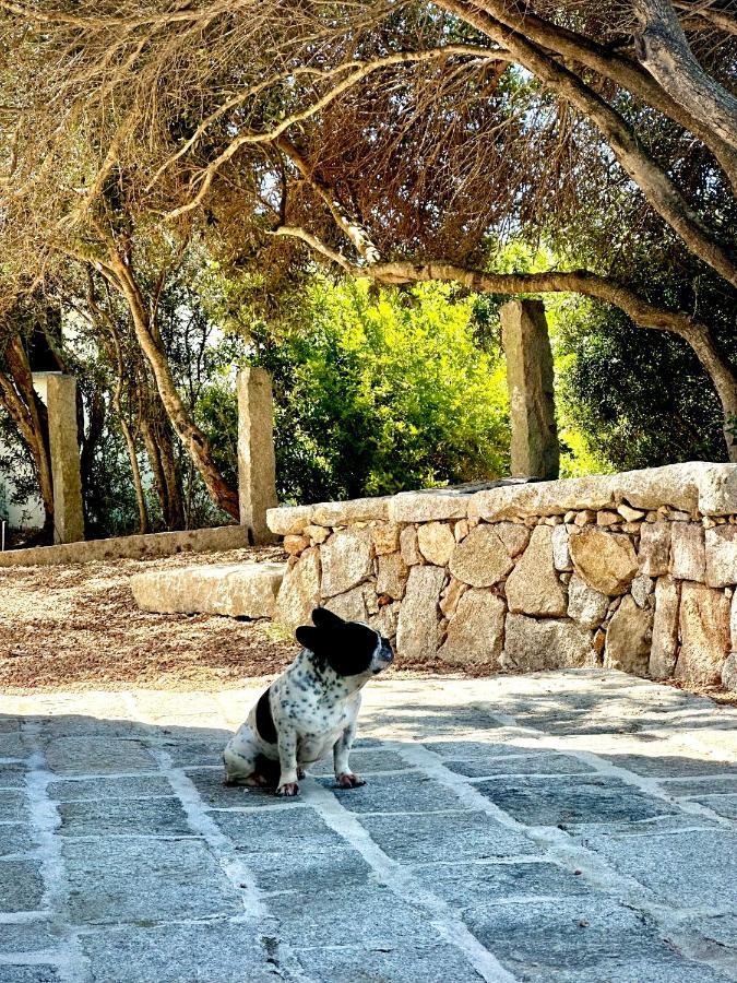 Villa Maria Cristina Santa Teresa Gallura Kültér fotó