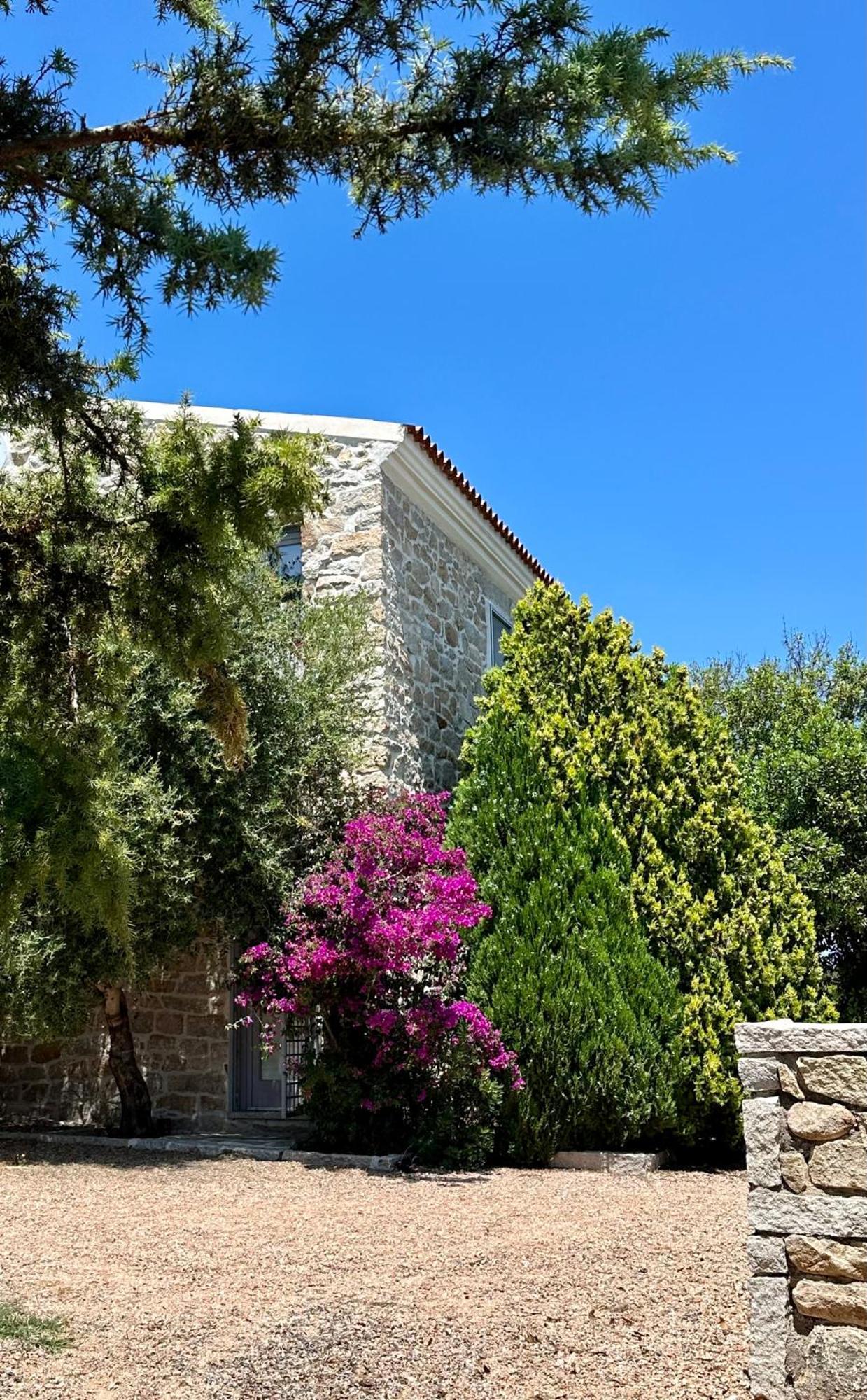 Villa Maria Cristina Santa Teresa Gallura Kültér fotó